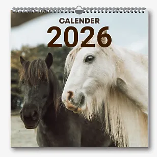 Шаблон за стенен календар с коне