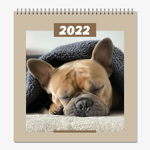 Шаблон за календар на ветеринарна клиника
